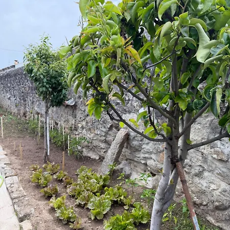 Casa Da Linha Apartman Caminha